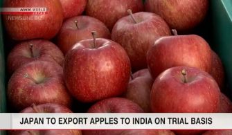 Japonya, deneme amacıyla Hindistan’a elma ihraç edecek.
