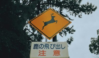 Japonya’da Trafik Cezaları ve Kuralları: Yabancılar İçin Rehber