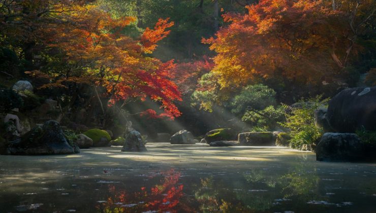 Japonya’da Bir Yakınınız Vefat Ederse: Cenaze İşlemleri Rehberi