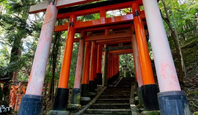 Japonya 7 Günlük Gezi Rotası: Tokyo, Kyoto ve Osaka (Gün Gün Plan)
