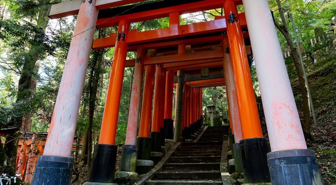 Japonya 7 Günlük Gezi Rotası: Tokyo, Kyoto ve Osaka (Gün Gün Plan)