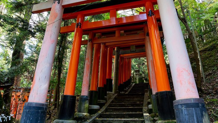 Japonya 7 Günlük Gezi Rotası: Tokyo, Kyoto ve Osaka (Gün Gün Plan)
