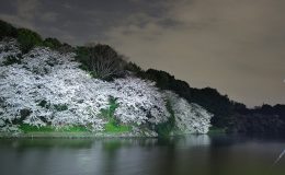 Japonya’ya Ne Zaman Gidilir? Mevsim ve Ay Ay Gezi Rehberi