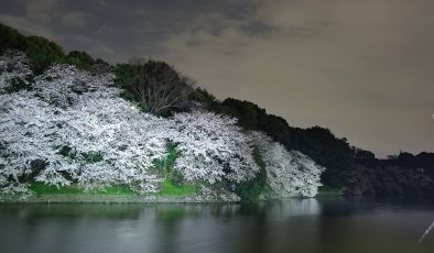 Japonya’ya Ne Zaman Gidilir? Mevsim ve Ay Ay Gezi Rehberi